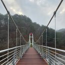 지촌천 | 화천 여행 가볼만한곳 추천 곡운구곡 계곡 출렁다리 산책