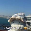 서림카 이미지