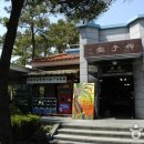 야자수식당