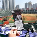 131 | 부산 사직야구장 시범경기 방문후기 131블럭 9열 시야까지 솔직 리뷰