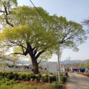 덕산초교 옆 이미지