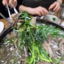 오리아재 | 노원가발아재 숨은 맛집 탐방! 공릉동 도깨비시장 입구 한방오리집 진심 강추