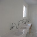 파인트리 이미지