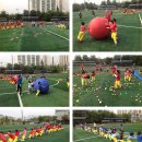와이비엠스포츠