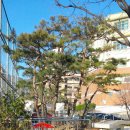 대전송촌중학교 이미지