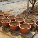 두리농원 이미지