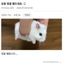 뻐끔뻐끔 이미지