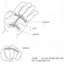 수지부의 골절과 탈구의 치료원칙 이미지