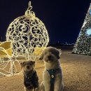 팔팔식육식당 이미지