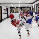 KLT 실전태권도장 이미지