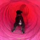 김동권 독 트레이닝센터 이미지