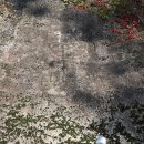 탑평리 갓바위마애불 이미지