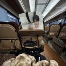 인북로3길 | [내돈내산] 티머니GO - 익산 크리스마스 축제&amp;원도심투어 예뻐지는 여행