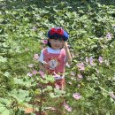 안성사세탁소 | 베베드피노 언더웨어 아기 가을옷, 3살 등원룩 스웨터 코디 후기