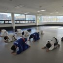 히어로 유도 클럽 이미지