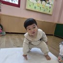 🎈솔내음반-신나게 놀고 쑥쑥 자란 하루 "동글동글 백업"놀이와 자유놀이 이미지