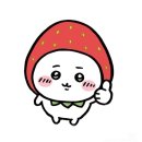 중원대학교 사회과학대학원 | 예술학과 대학원 합격 후기!! 수학계획서 팁 | 면접 질문, 영어 시험 | 이화여대, 홍익대, 한예종