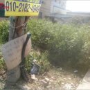 신건지동 이미지