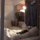 레드호스텔 이미지