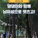 주식회사 펫츠고트래블 이미지