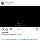 홉히 이미지