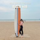 엠엘피 | 태안 만리포 서핑 강습 | MLP 엠엘피 서프 장비 샤워 프리서핑까지 찐후기