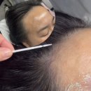 헤어팡 이미지