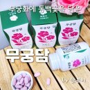 갈산농장 | 산림청연구로 핫한 무궁화에 동백꽃을 담은 무궁담