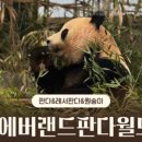 판다기프트 이미지