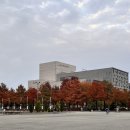 샘곡 | 2025 누들 대전 축제 방문 후기(샘킴님이랑 사진 찍었다!)