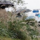 (주)가을 네이버블로그