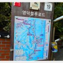 괴시2리 관어대 입구 Daum카페