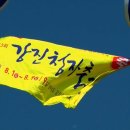 강진-43 이미지