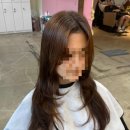 살롱, 지니