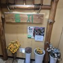 둥지밥상 | 신천동맛집 둥지톳밥, 정갈하고 건강한 한정식 후기