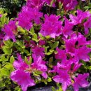 유지태농장 이미지