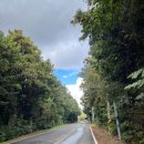 재즈로 푸른 밤 저 별아래 vol.1 | 11월, 제주 - 2