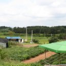 생동농장 이미지