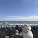 옥희네샵