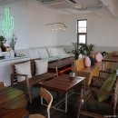 선인장을 부탁해 이미지