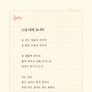 오니라 Daum카페