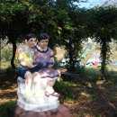 영종초등학교 금산분교 이미지