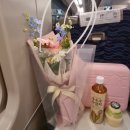 더아담수서역
