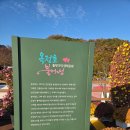 자연생태공원 수변데크 입구 | 【임실】 옥정호 출렁다리 붕어섬 생태공원 수변데크