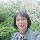 #퍼플앤족욕카페 구로디지털점 이미지