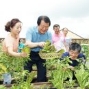 하늘농장 이미지