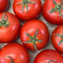 토마토 이미지
