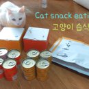 헬로가토스 이미지