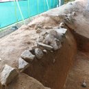 장성목장 이미지