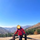 [등산일기] 11월, 드넓은 억새평원 간월재가 있는 간월산 (신불산자연휴양림에서 올라간 등산코스)